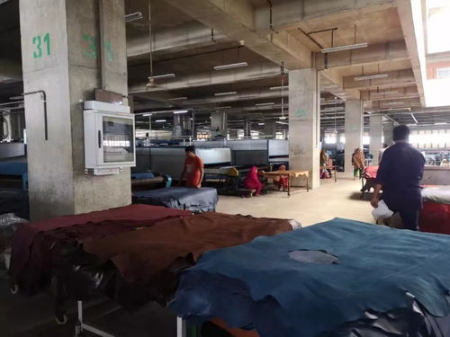 互聯(lián)網(wǎng)服務(wù)賦能皮革行業(yè) 從中國皮革展看未來發(fā)展