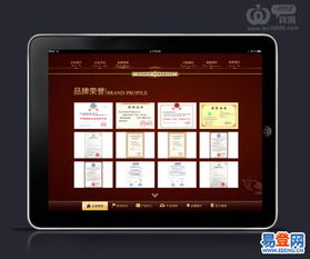 精湛的技術，優秀的服務 深圳軟件開發公司的卓越之道