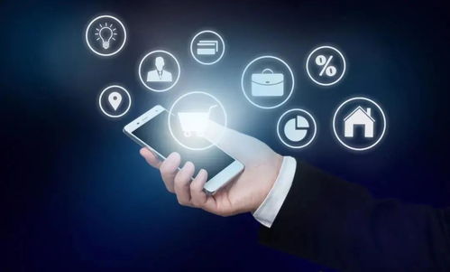 淺談財務信息化建設在互聯網服務領域的價值與實踐